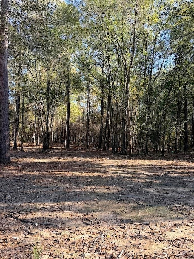 512 Monte Kelly, Buna, TX 77612 - photo 4