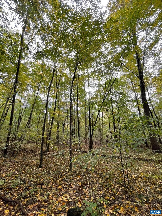 TBD Middle River Rd, Stanardsville, VA 22973 - photo 7