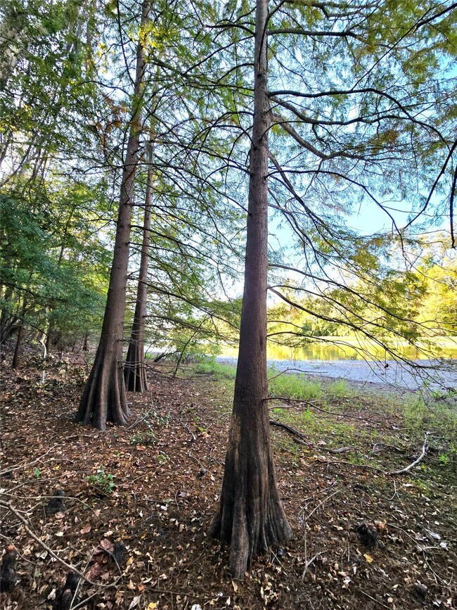 TBD County Road 2167, Cleveland, TX 77327 - photo 2