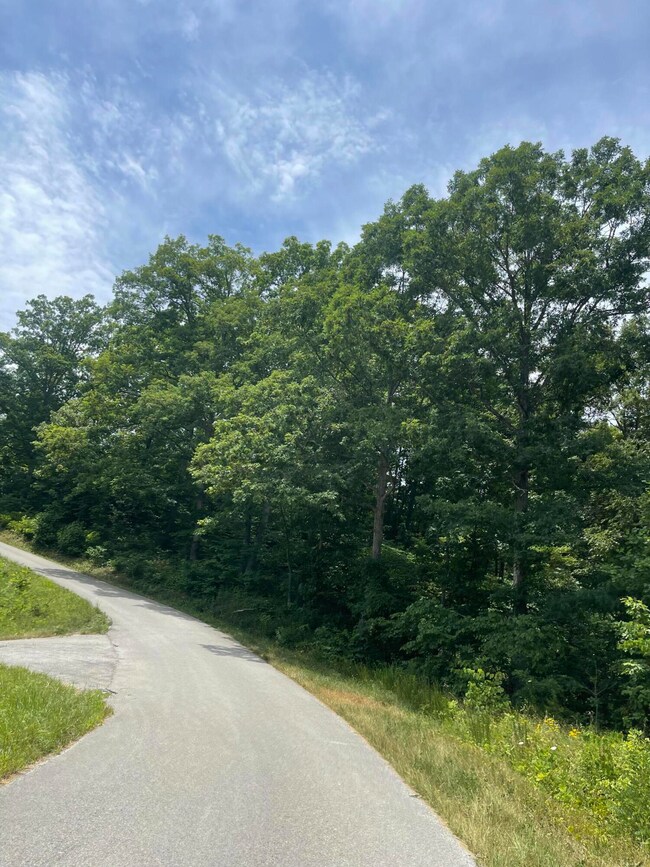 1553 Allen Rd, Booneville, KY 41314 - photo 6