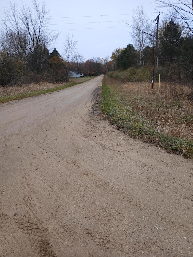 0 E Beyer Rd, Fountain, MI 49410 - photo 3