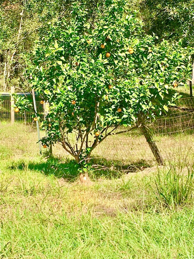 853 County Road 412, Dayton, TX 77535 - photo 5