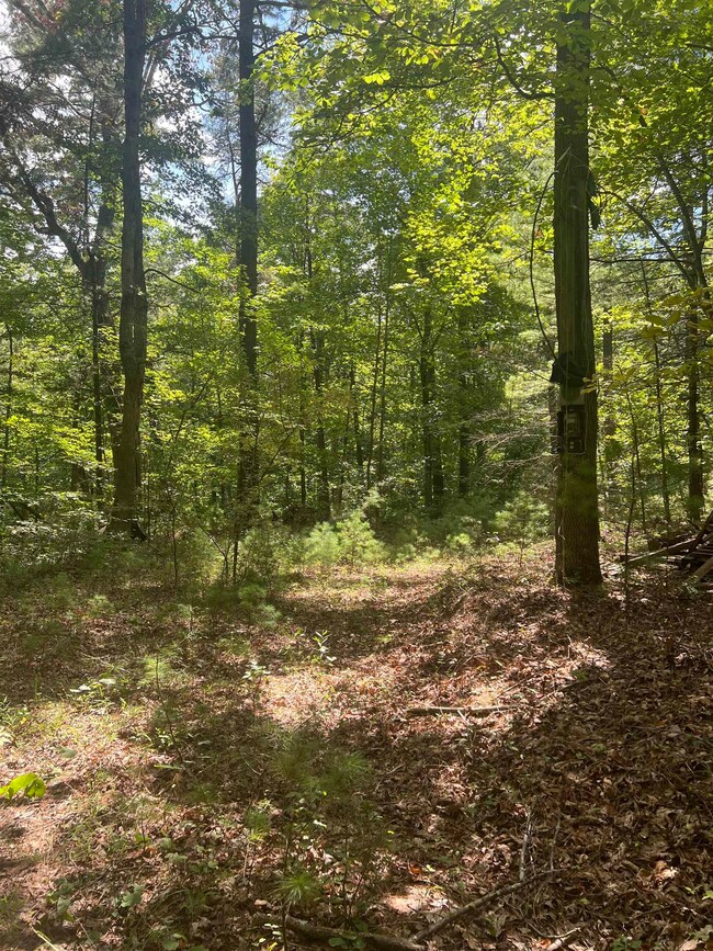 0 Sarah Ln unit 655776, Basye, VA 22810 - photo 3