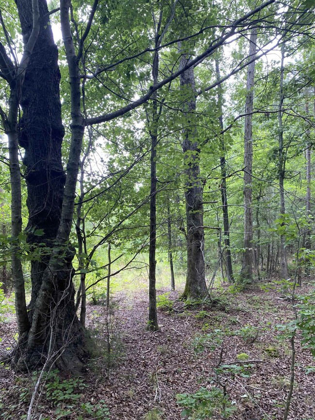 0 Sterl Carrington Rd, Oxford, NC 27565 - photo 6