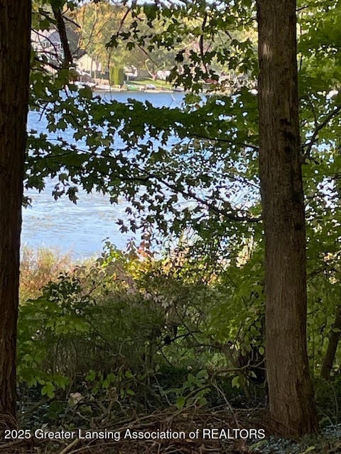 0 E Englewright Dr, Ensley Township, MI 49343 - photo 4