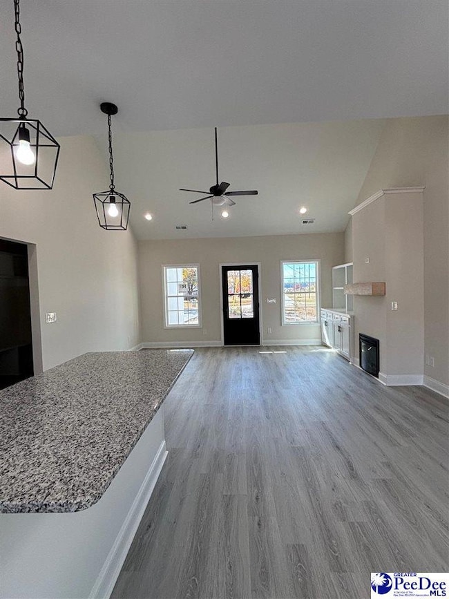 2694 Pineland Cir, Hartsville, SC 29550 - photo 5