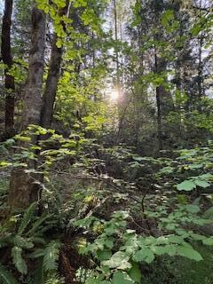 IMG_4714 (1)