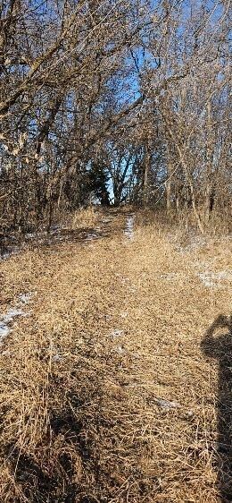 Parcel 3 Willow Rd NE, Carlos, MN 56319 - photo 3