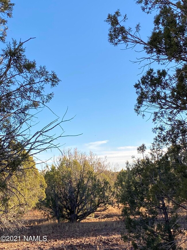 1025 Joseph Dr unit 158, Ash Fork, AZ 86320 - photo 5