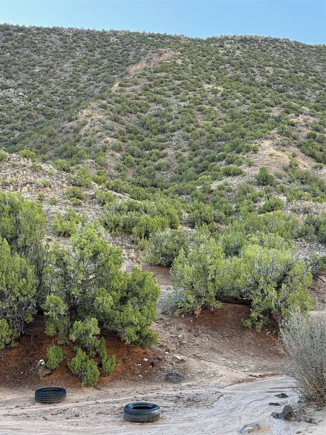 TBD LOT 3 Juniper Rd, Ojo Caliente, NM 87549 - photo 4