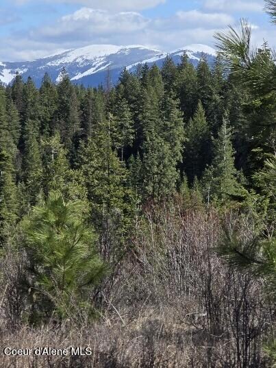 NKA Mulch Creek Rd, Saint Maries, ID 83861 - photo 5