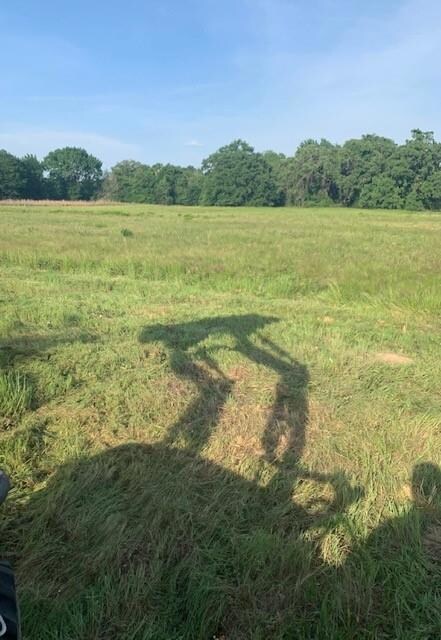 0 County Road 1315, Malakoff, TX 75148 - photo 2