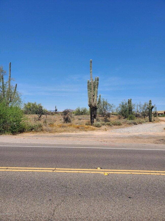 Land Pic 1