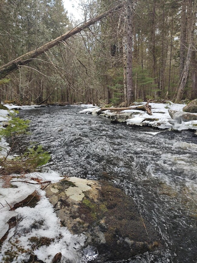 Flanders Stream
