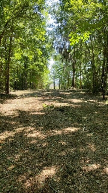 Path is cleared to access Lots 18, 22 as well as t