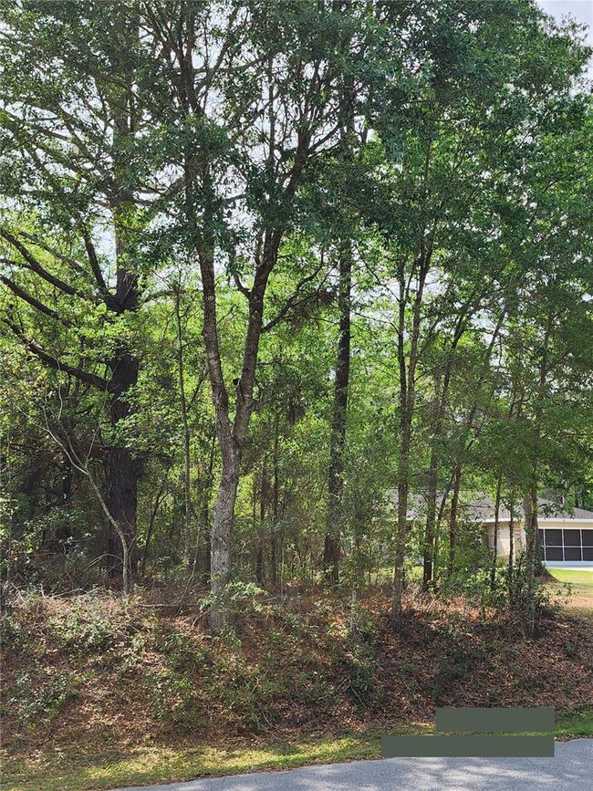 0 SW 199th Ct, Dunnellon, FL 34431 - photo 3