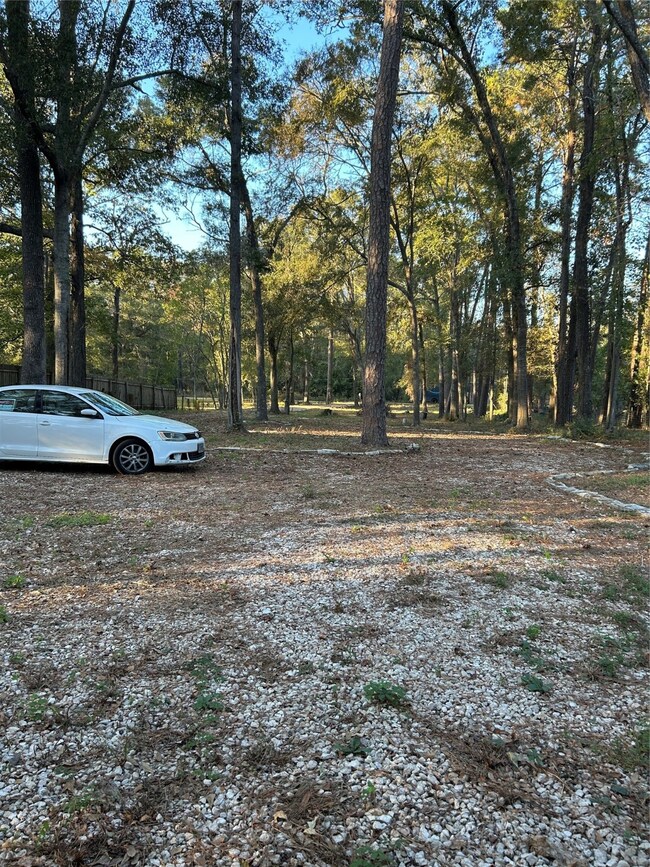 Front Yard.