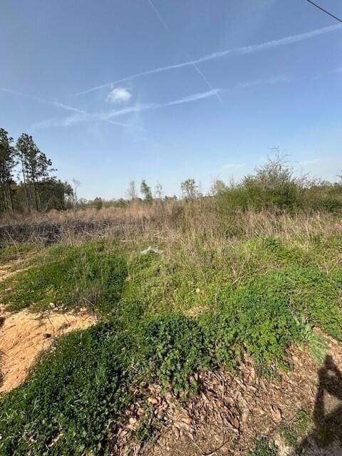 0 Baggett Rd, Deridder, LA 70634 - photo 3