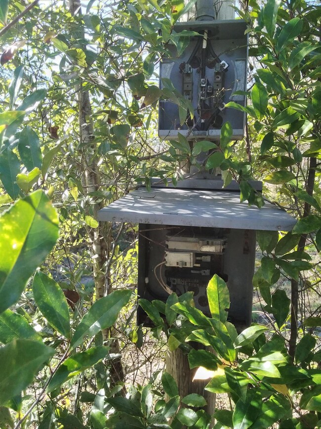 718 Shadeville Rd, Crawfordville, FL 32327 - photo 6