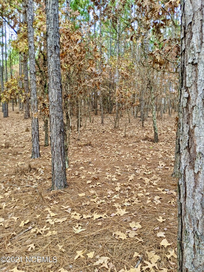 PXL_20211204_154059970 2