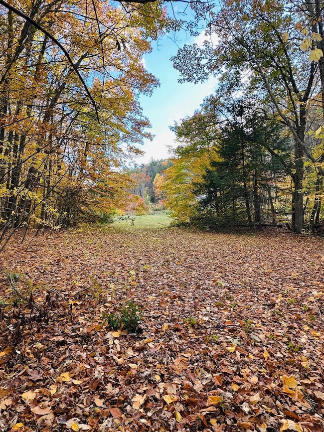 476 Missing Link Rd, Springfield, VT 05156 - photo 3