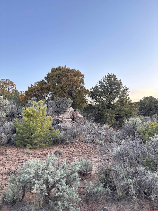 000 E View Ln, San Luis, CO 81152 - photo 7