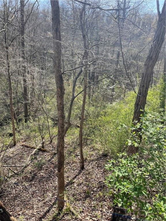 SR166 Thompson 1 Rd, New Salem, PA 15468 - photo 2