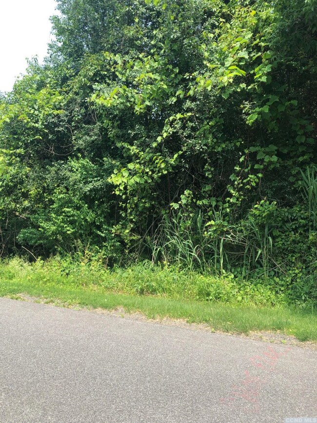 37 - SS Sleepy Hollow Rd, Coxsackie, NY 12051 - photo 7