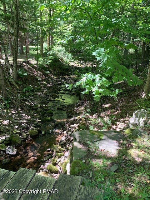 120 Deer Meadow Ln, Cresco, PA 18326 - photo 3