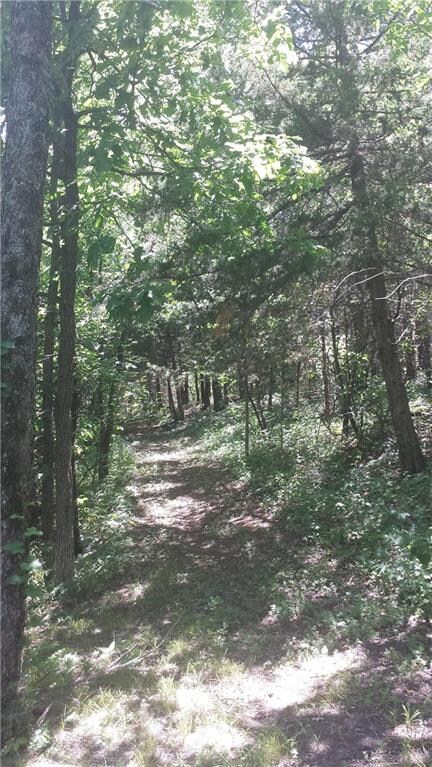 Hiking, hunting and potential for horse riding wit