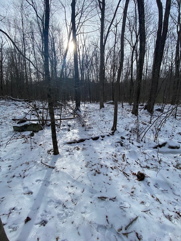 Lot 2R &3 Chapin Rd, Hampden, MA 01036 - photo 7