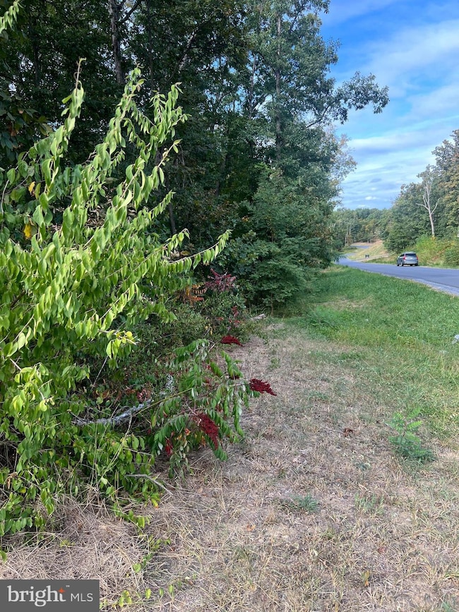 Lot 2 Covey Ln, Shawnee, VA 22602 - photo 2