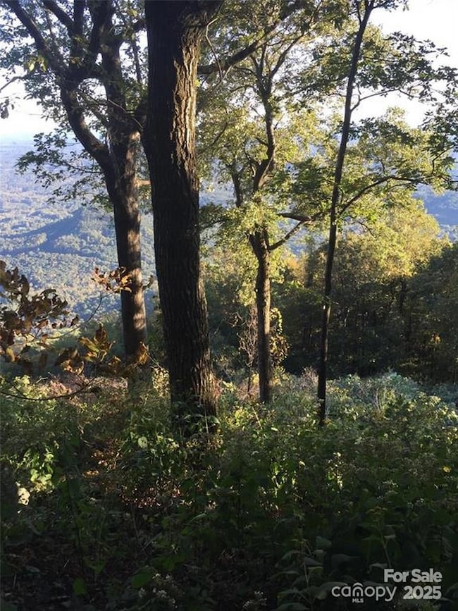 00 Morning Ride Dr unit 38, Columbus, NC 28722 - photo 7