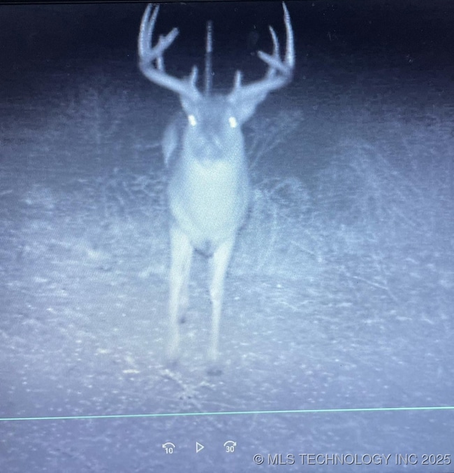 0 Mayes unit 2548587, Adair, OK 74330 - photo 3