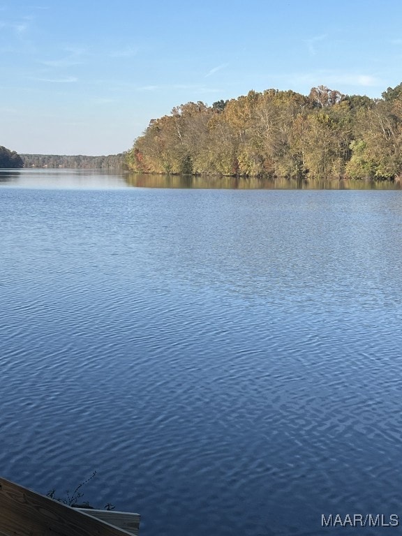 Wonderful view! Perfect for swimming, boating, or fishing.