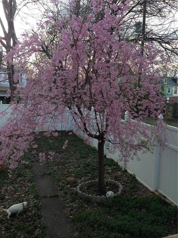 441 N 7th St, Allentown, PA 18102 - photo 5