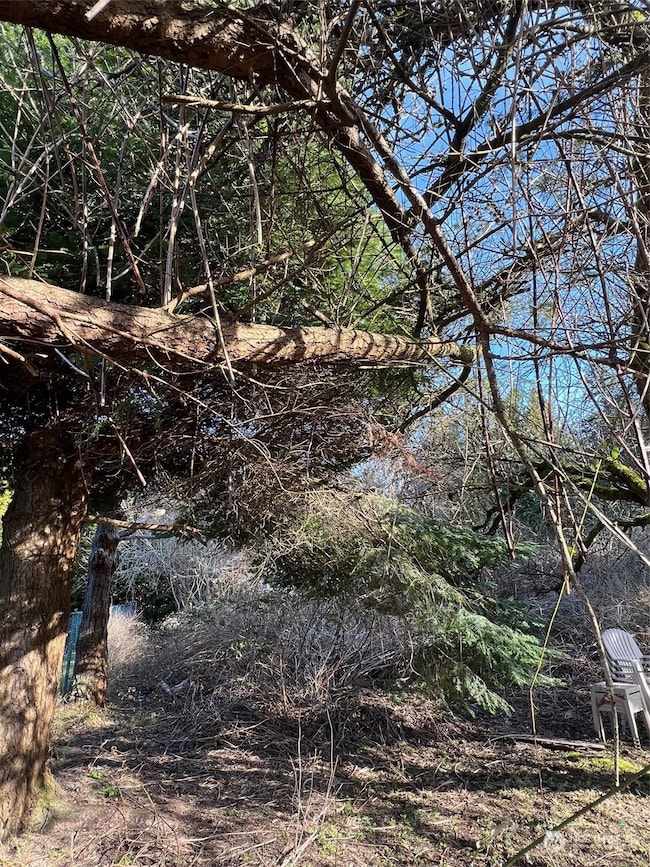 4 Panorama Dr, Point Roberts, WA 98281 - photo 2