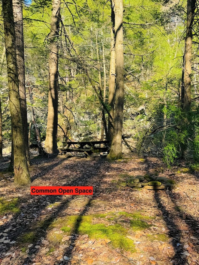 LOT 10 Paradise Rd, Todd Township, PA 16657 - photo 7