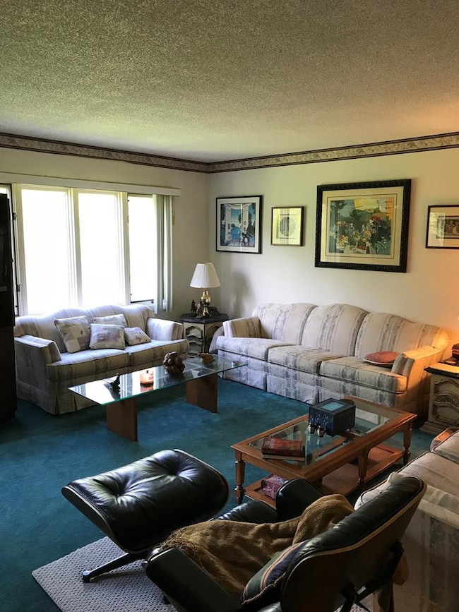 Living Room with large exterior windows