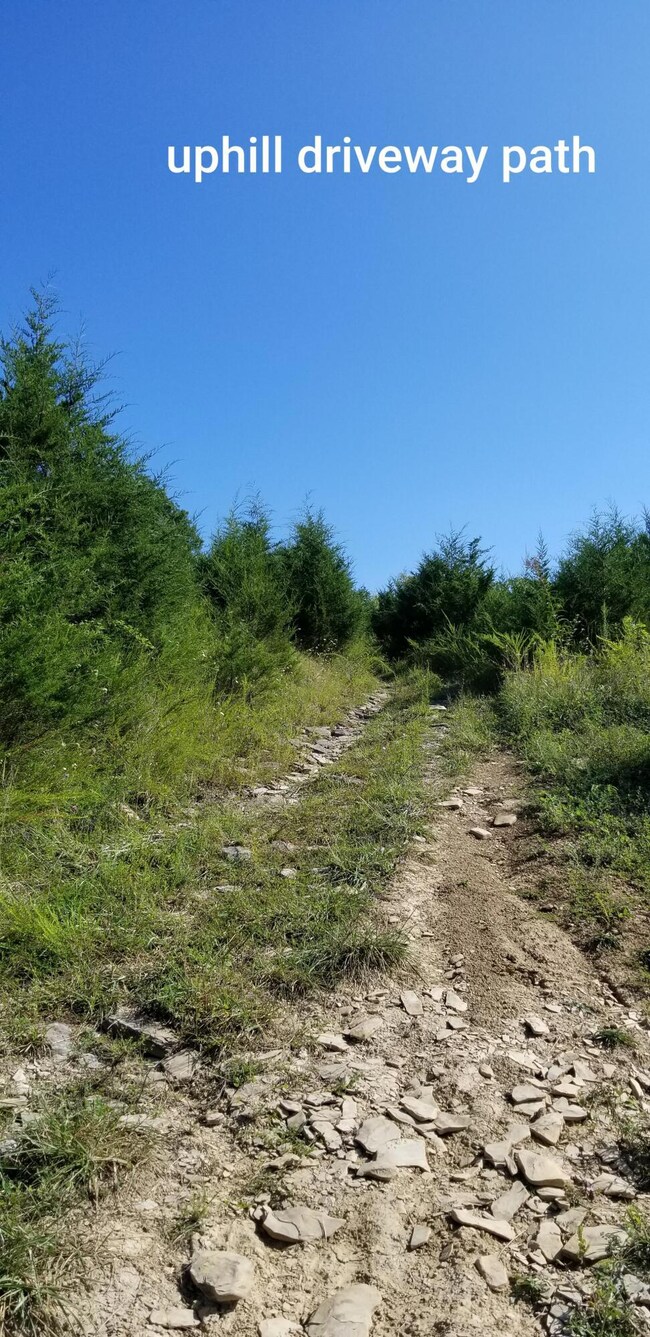 uphill driveway path