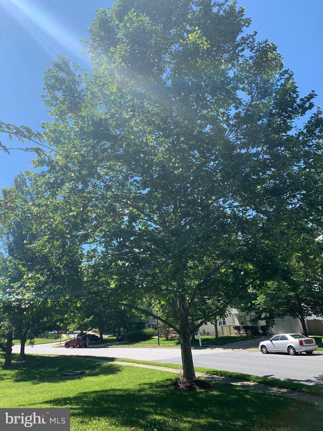 3724 Tall Grass Ct, Randallstown, MD 21133 - photo 3