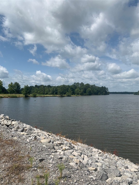Future Site of Miller’s Ferry Marina