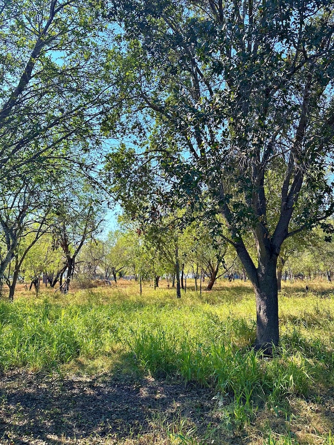 215 E College St, Pleasanton, TX 78064 - photo 7