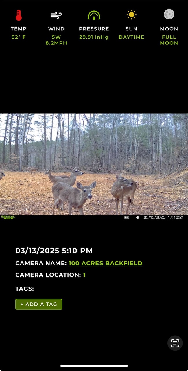 0 Allens Creek Rd unit RTC3007283, Hohenwald, TN 38462 - photo 7