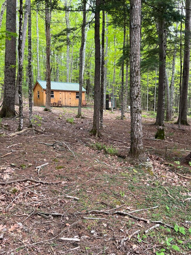 Front area