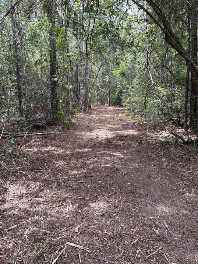 83166 Isabel Swamp Rd, Bush, LA 70431 - photo 7