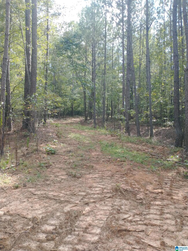 334 Serenity Ln, Alpine, AL 35160 - photo 5