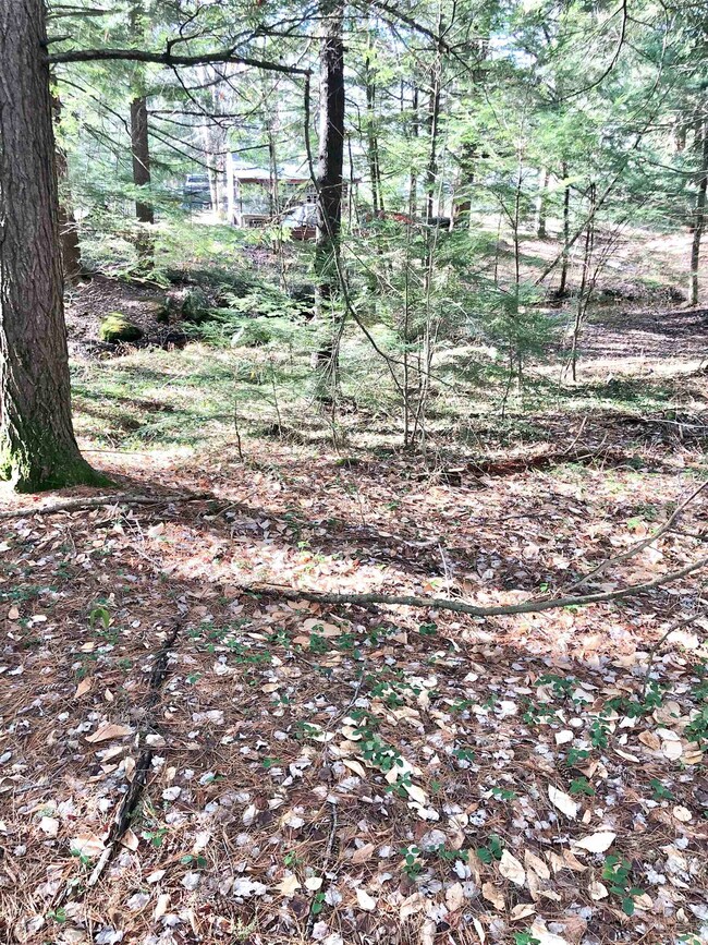 00 Beaver Glen Rd, Hillsboro, NH 03244 - photo 3