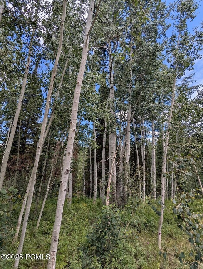 11319 E Tanglewood Dr unit 654, Timber Lakes, UT 84032 - photo 5