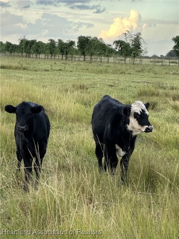 6790 6th Rd, Labelle, FL 33935 - photo 4